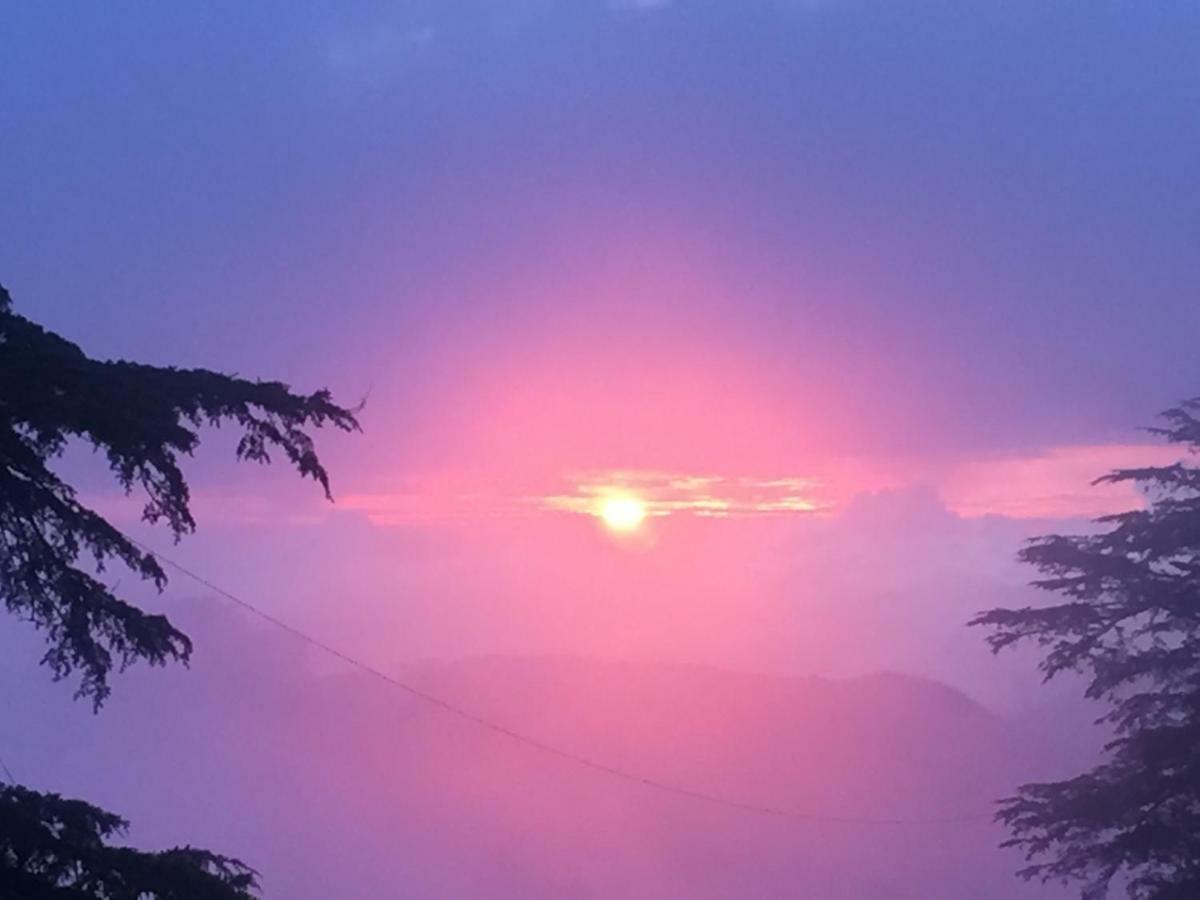 Simla View Bed and Breakfast Εξωτερικό φωτογραφία